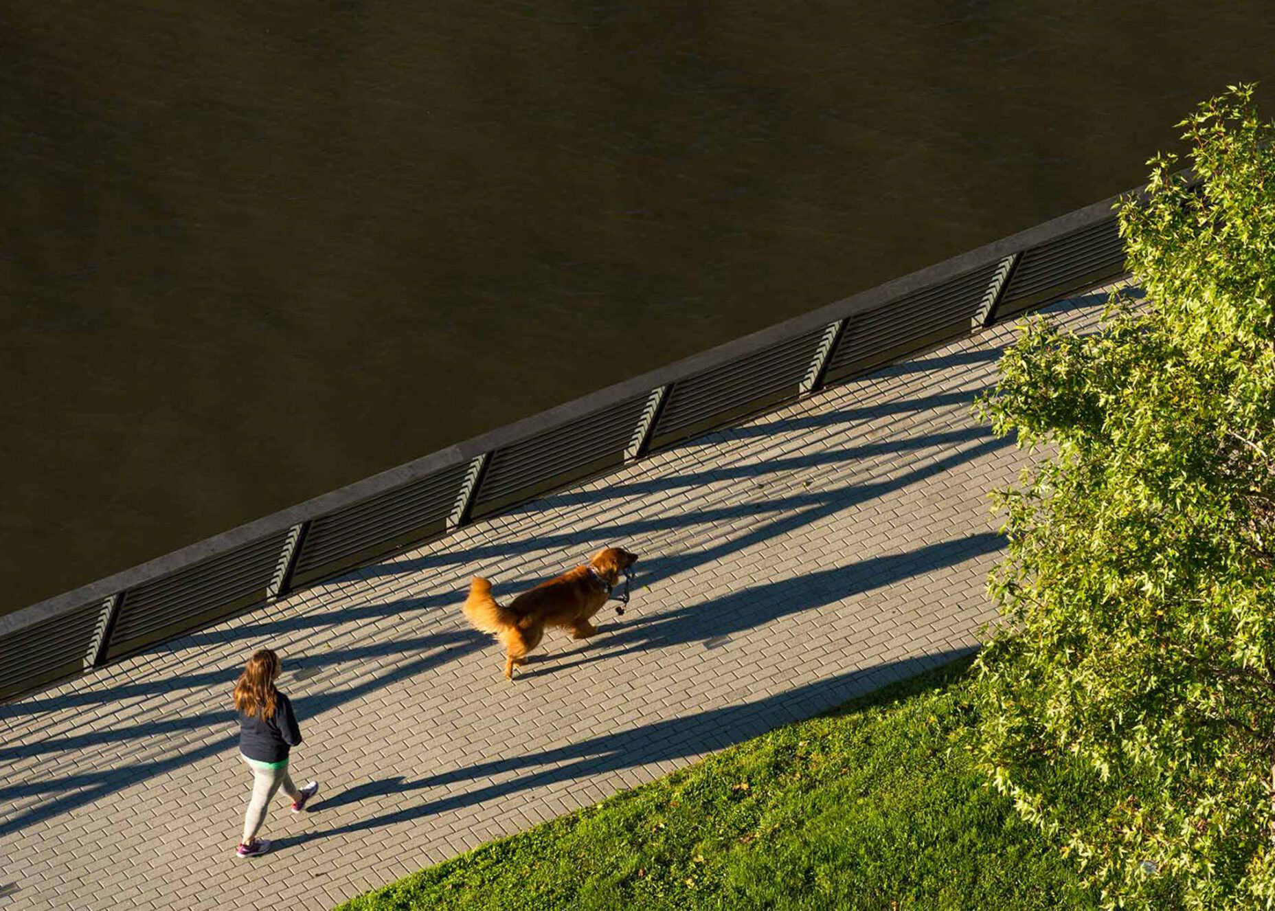 A woman walks a large dog on a riverside path during sunset. The long shadows stretch across the brick path, with greenery and calm water nearby.